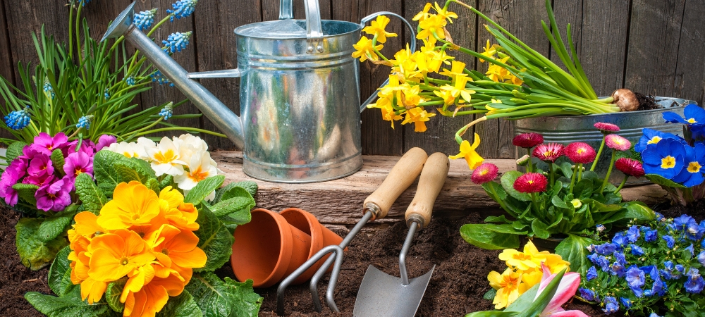 gardening tools by flower bed